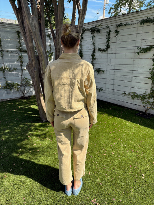 virginia utility pant in turbulence