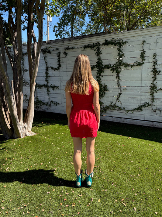 carlina mini dress