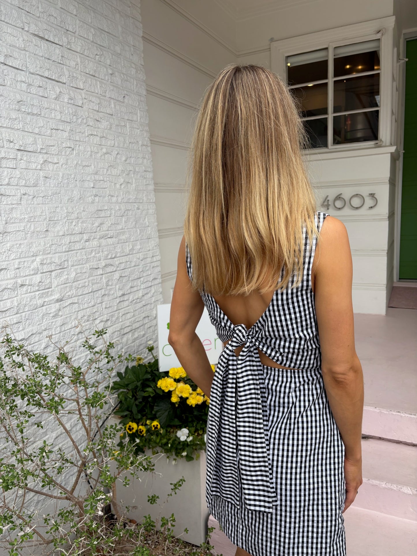 sofia mini dress