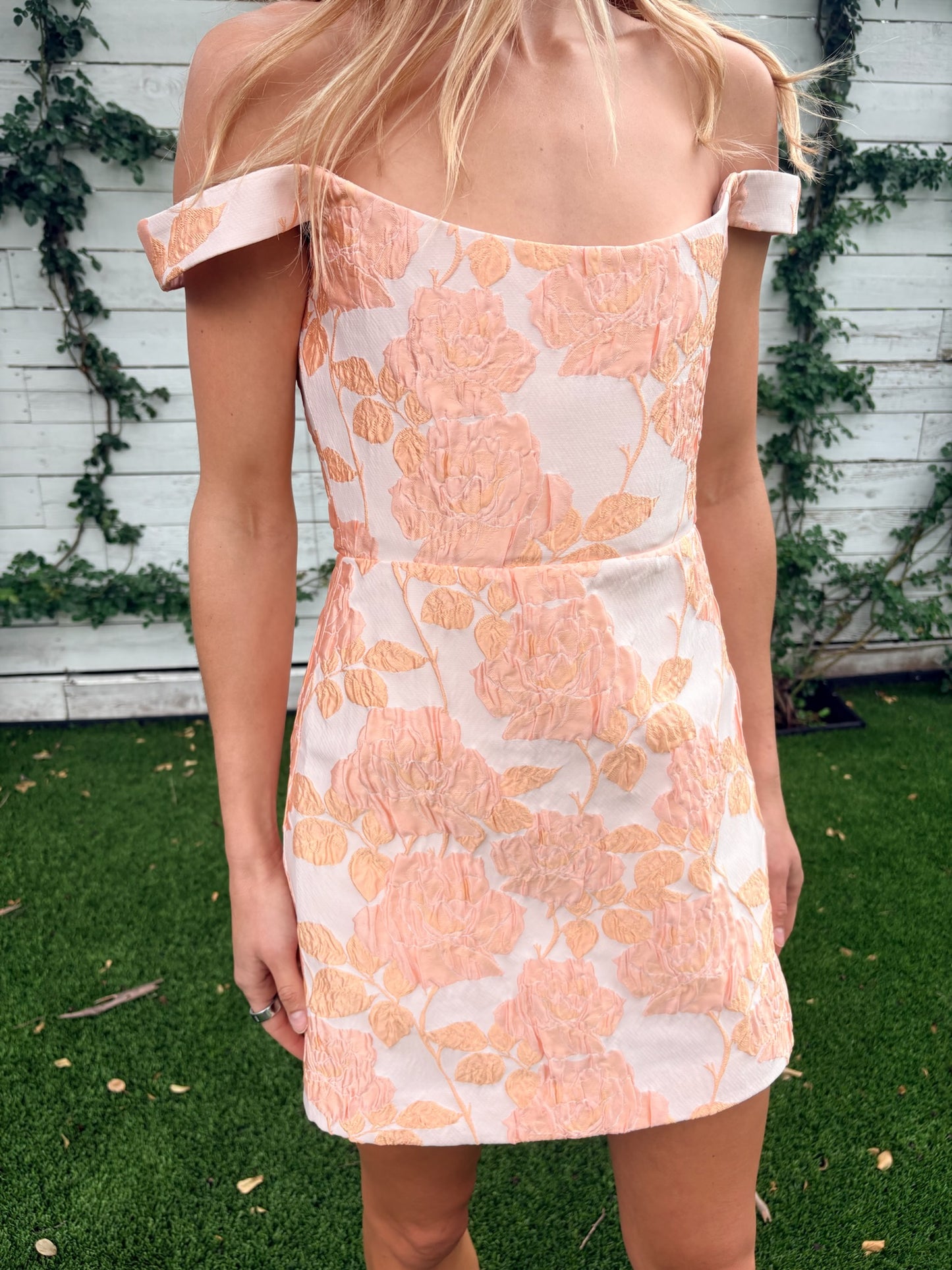 alice dress