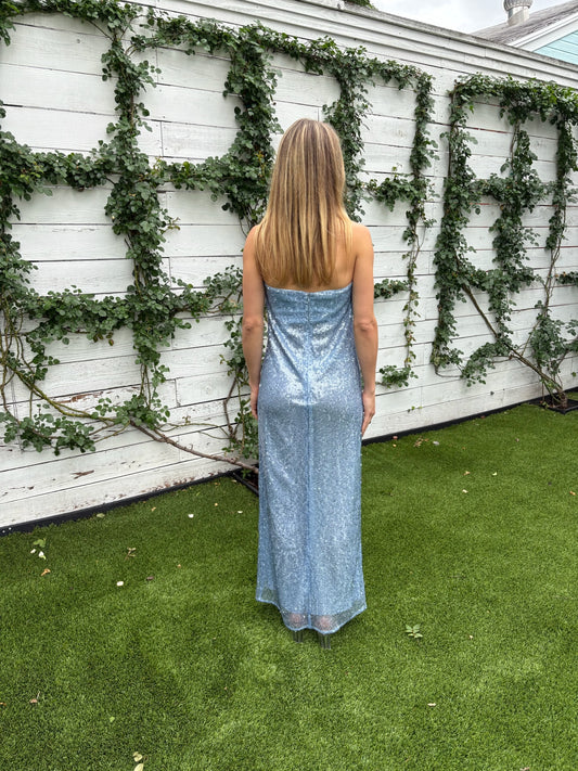 amerie strapless maxi dress