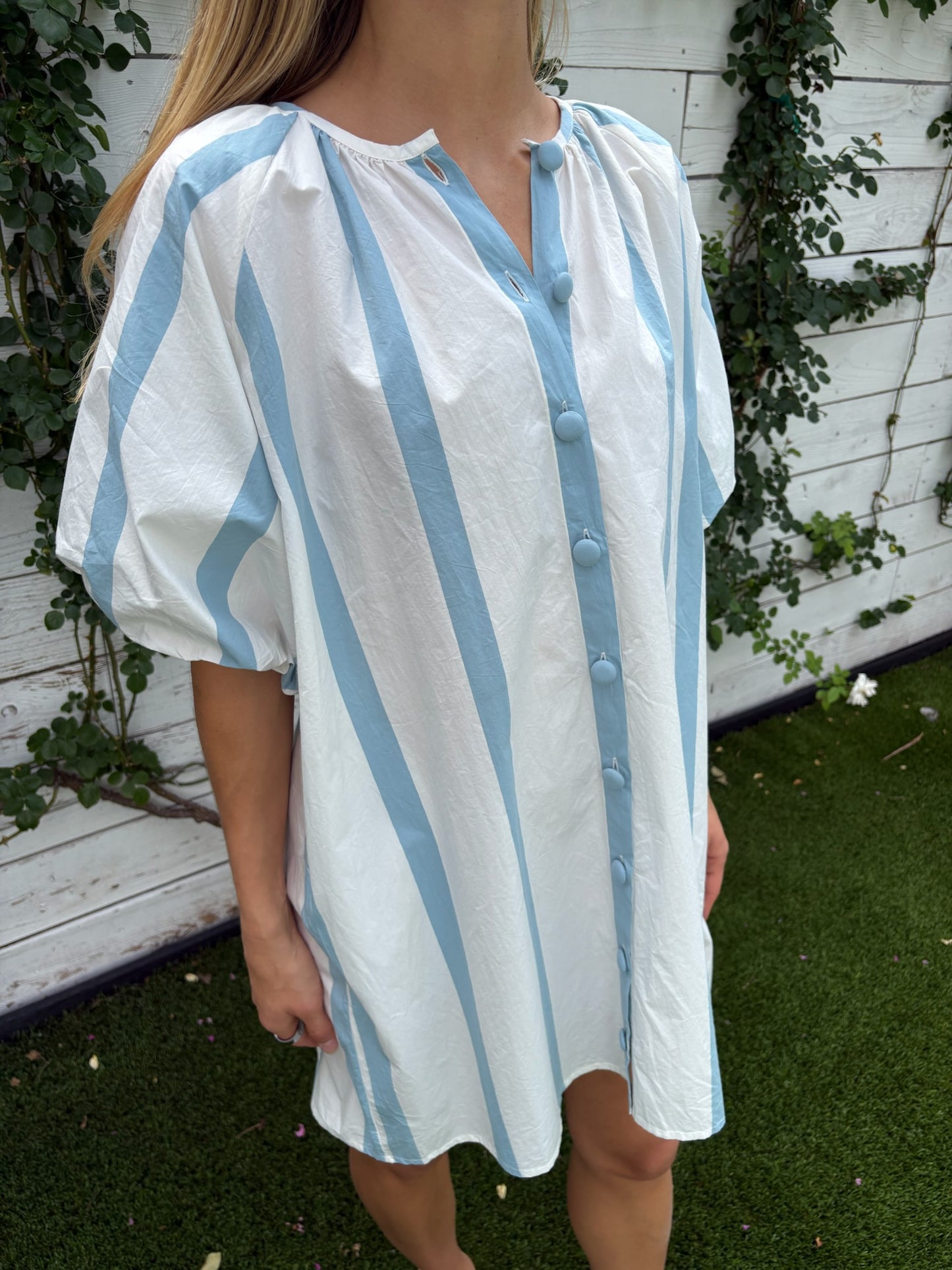 frannie dress