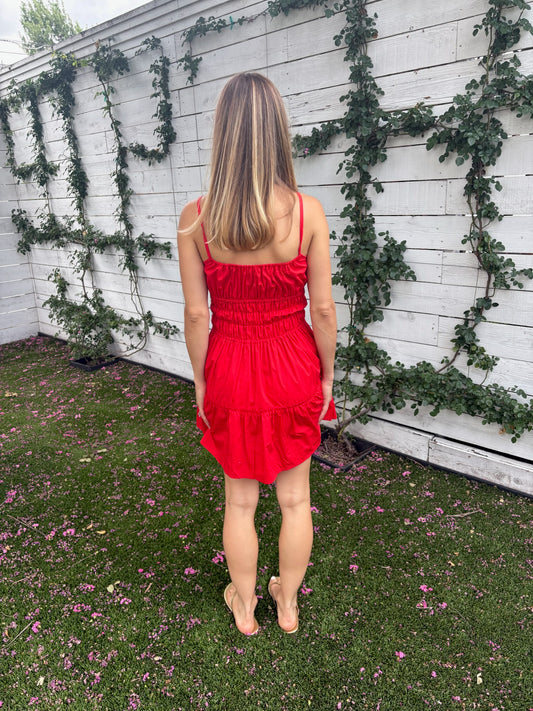 rosa mini dress