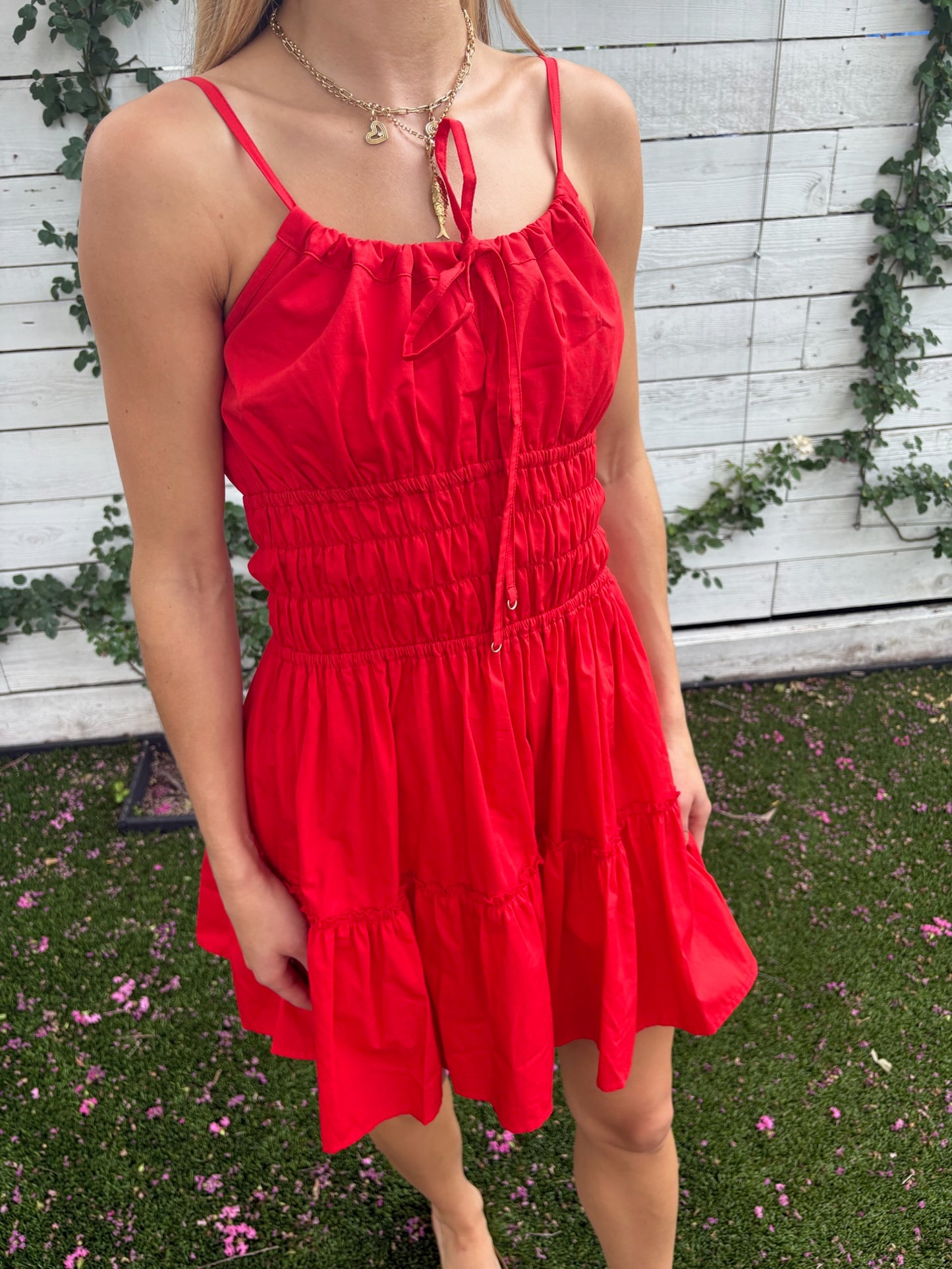rosa mini dress