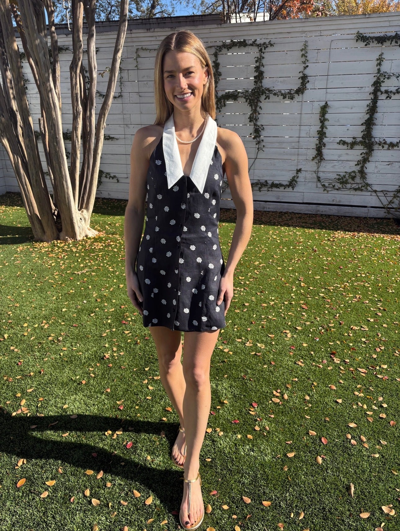 lucille mini dress