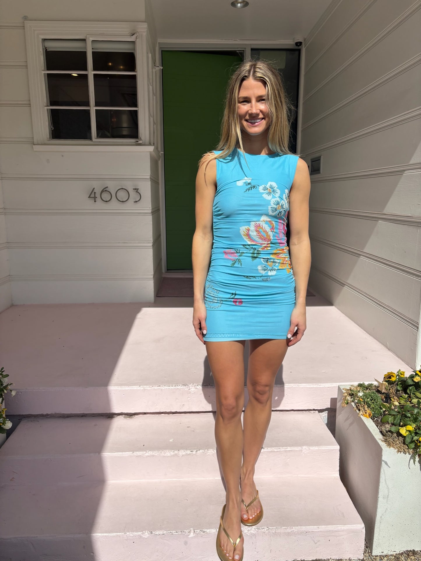ariel mini mesh dress