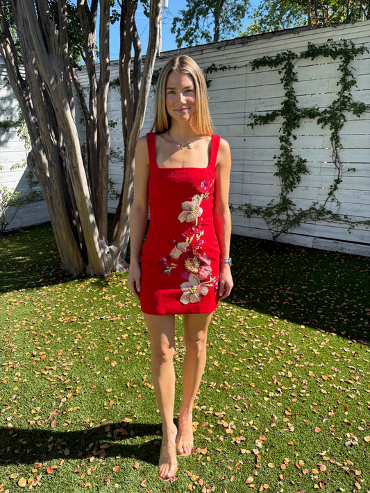 fleurisca mini dress