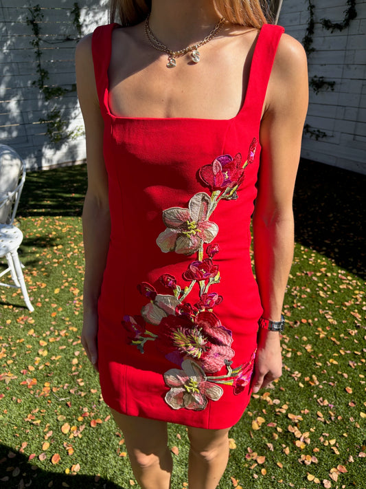 fleurisca mini dress
