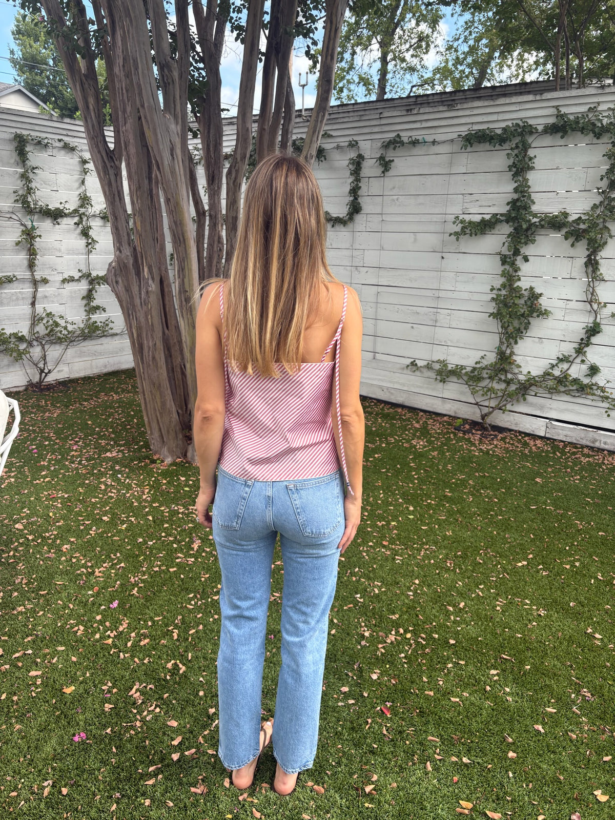 romney jean in stream