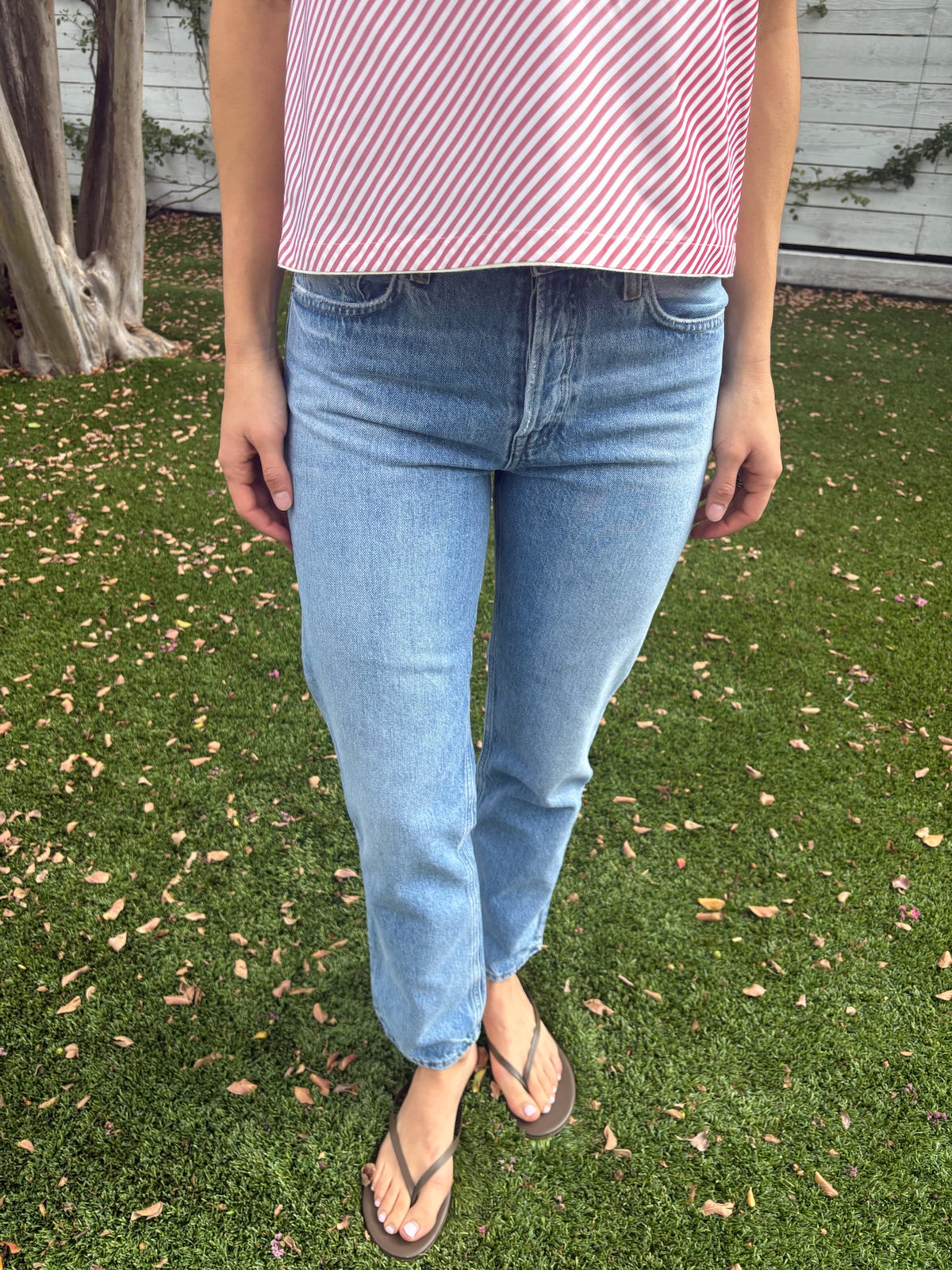 romney jean in stream