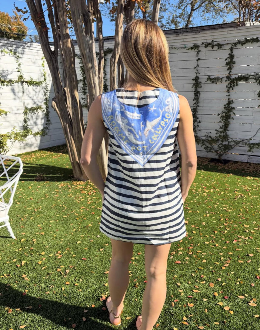 cove mini dress