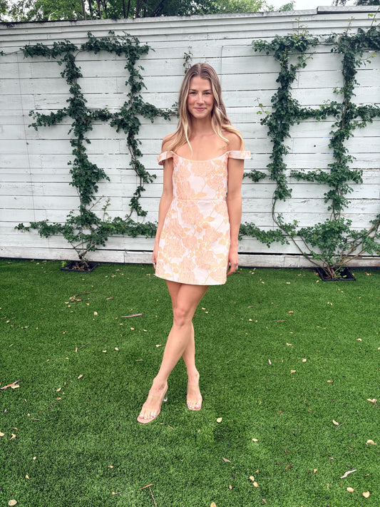 alice dress
