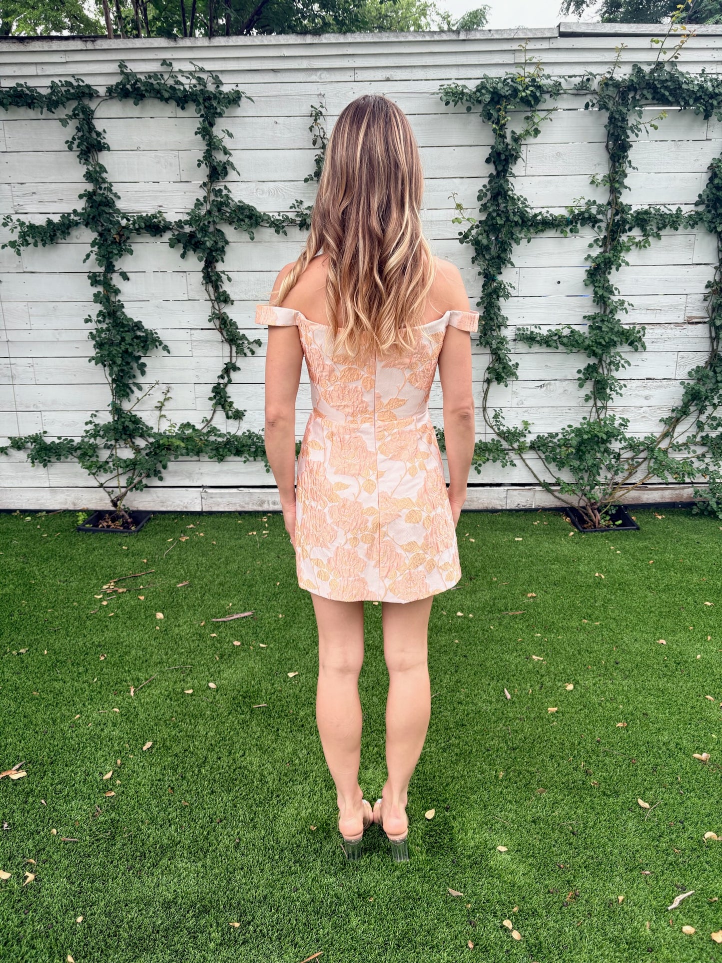 alice dress