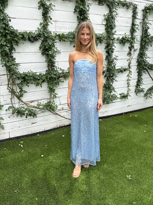 amerie strapless maxi dress