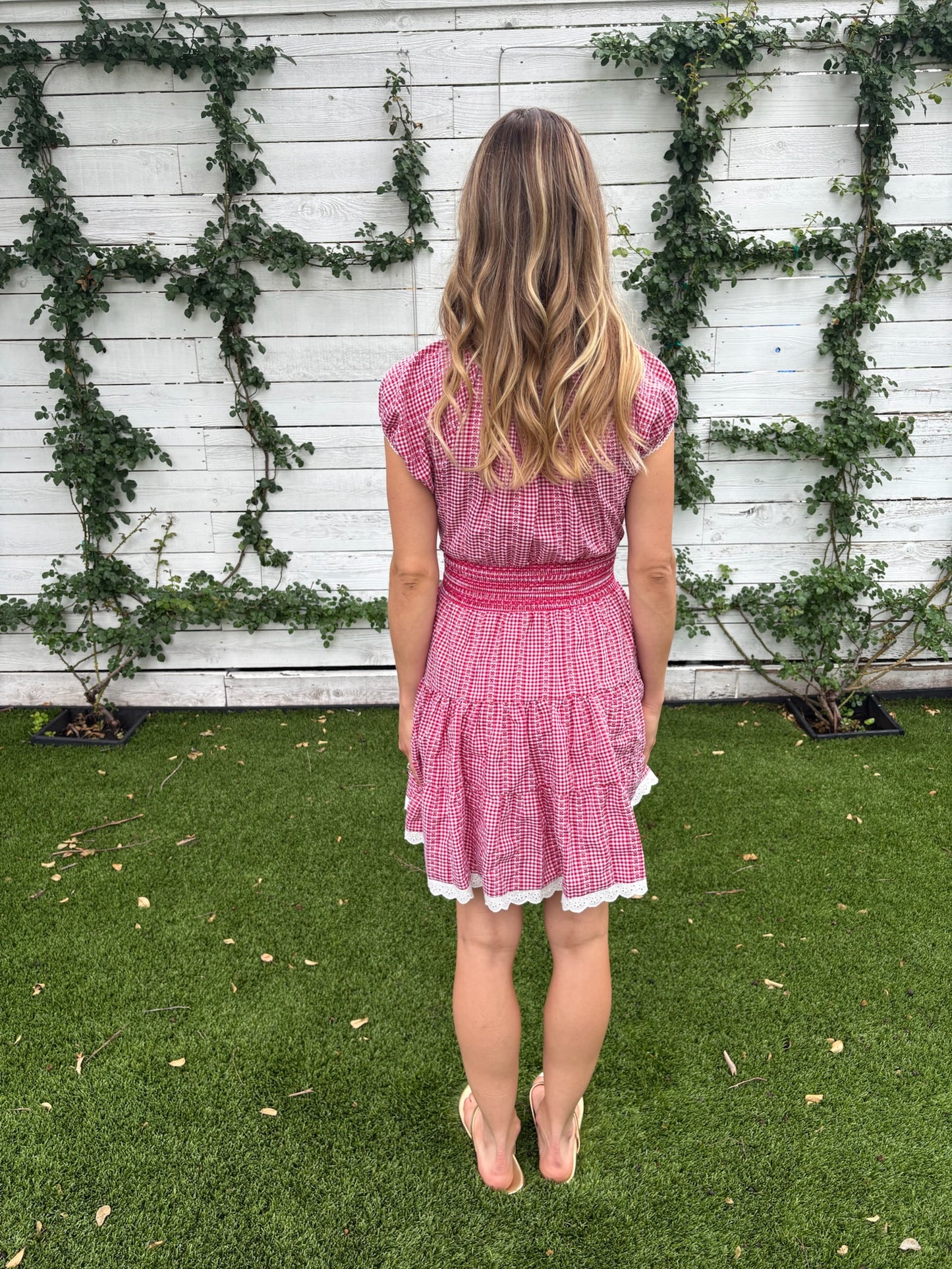 asterid dress