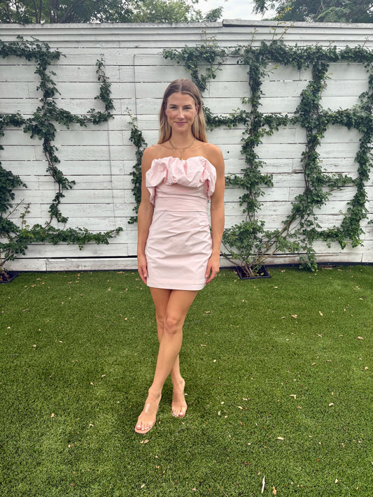 campbell strapless mini dress