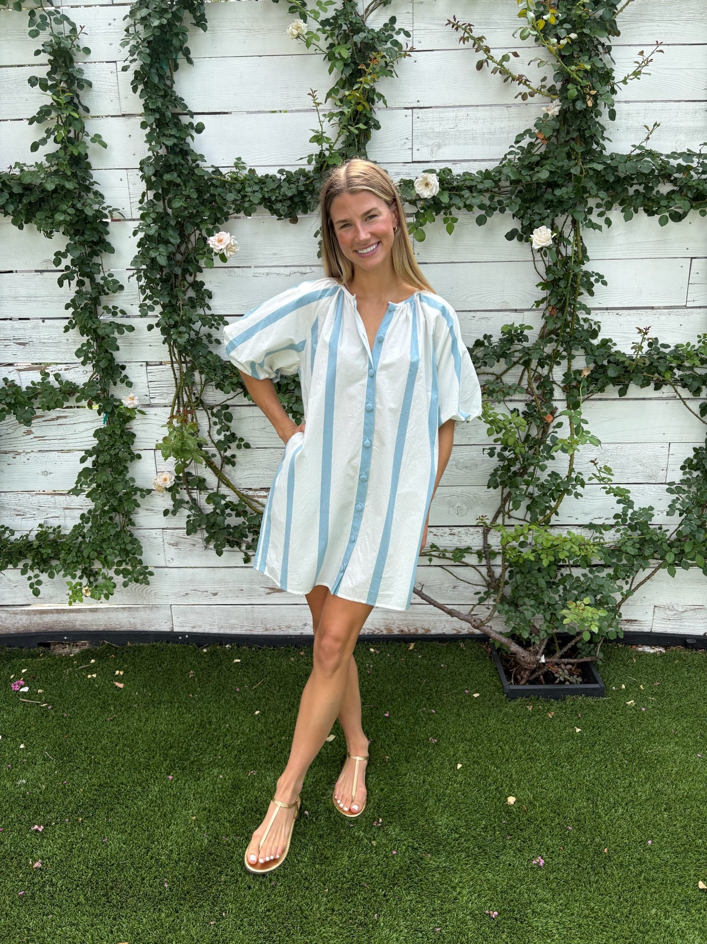 frannie dress