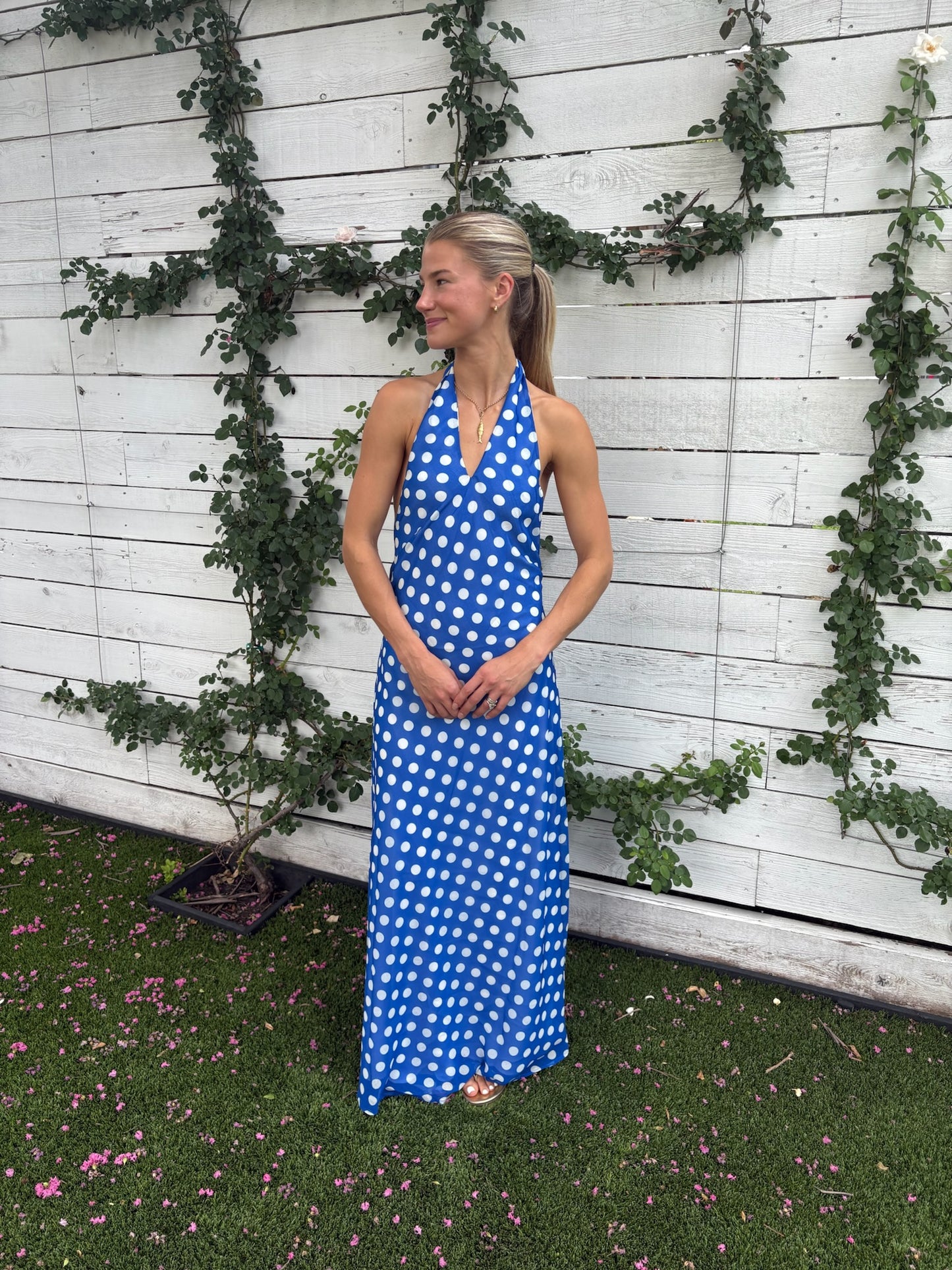 brisa dress