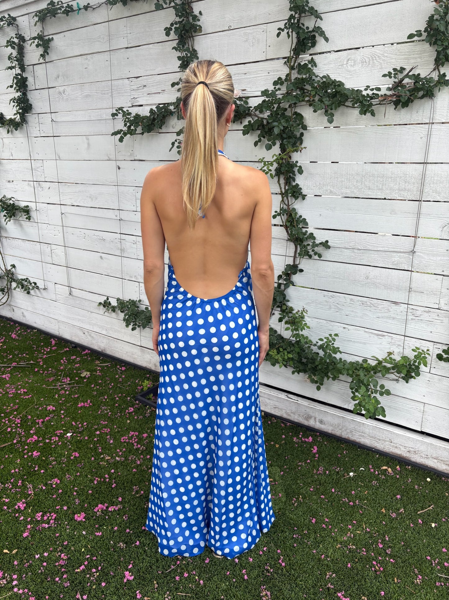 brisa dress