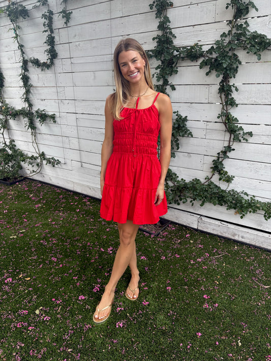 rosa mini dress