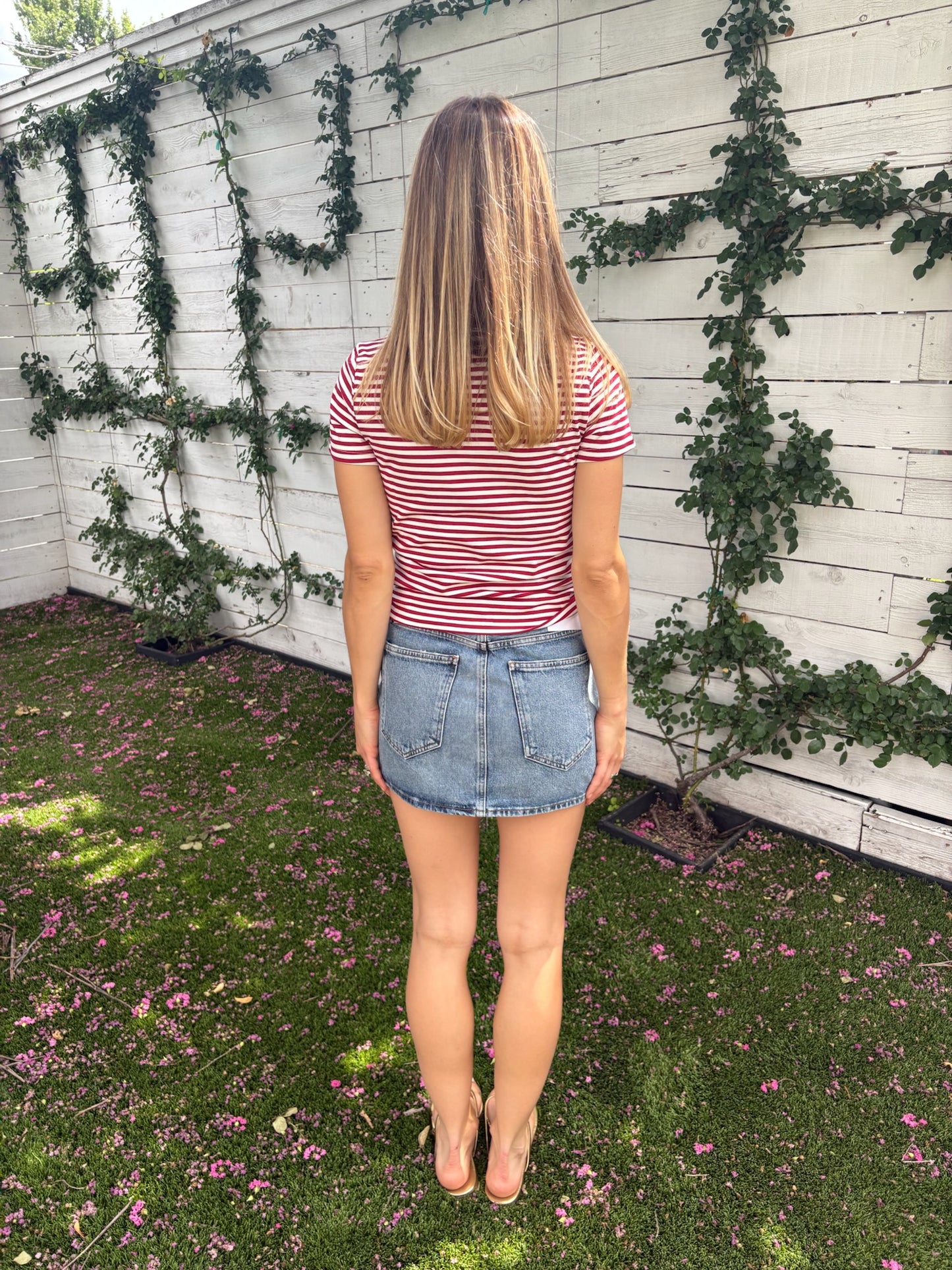alba shrunken tee