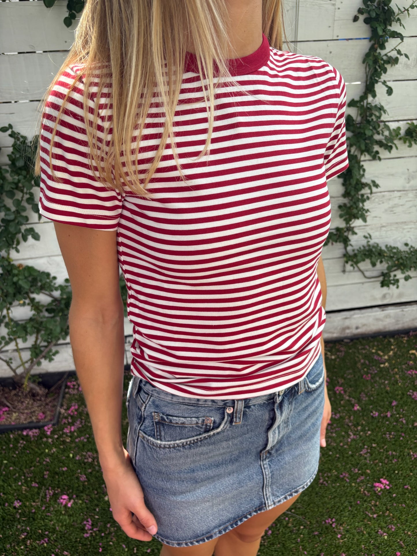 alba shrunken tee