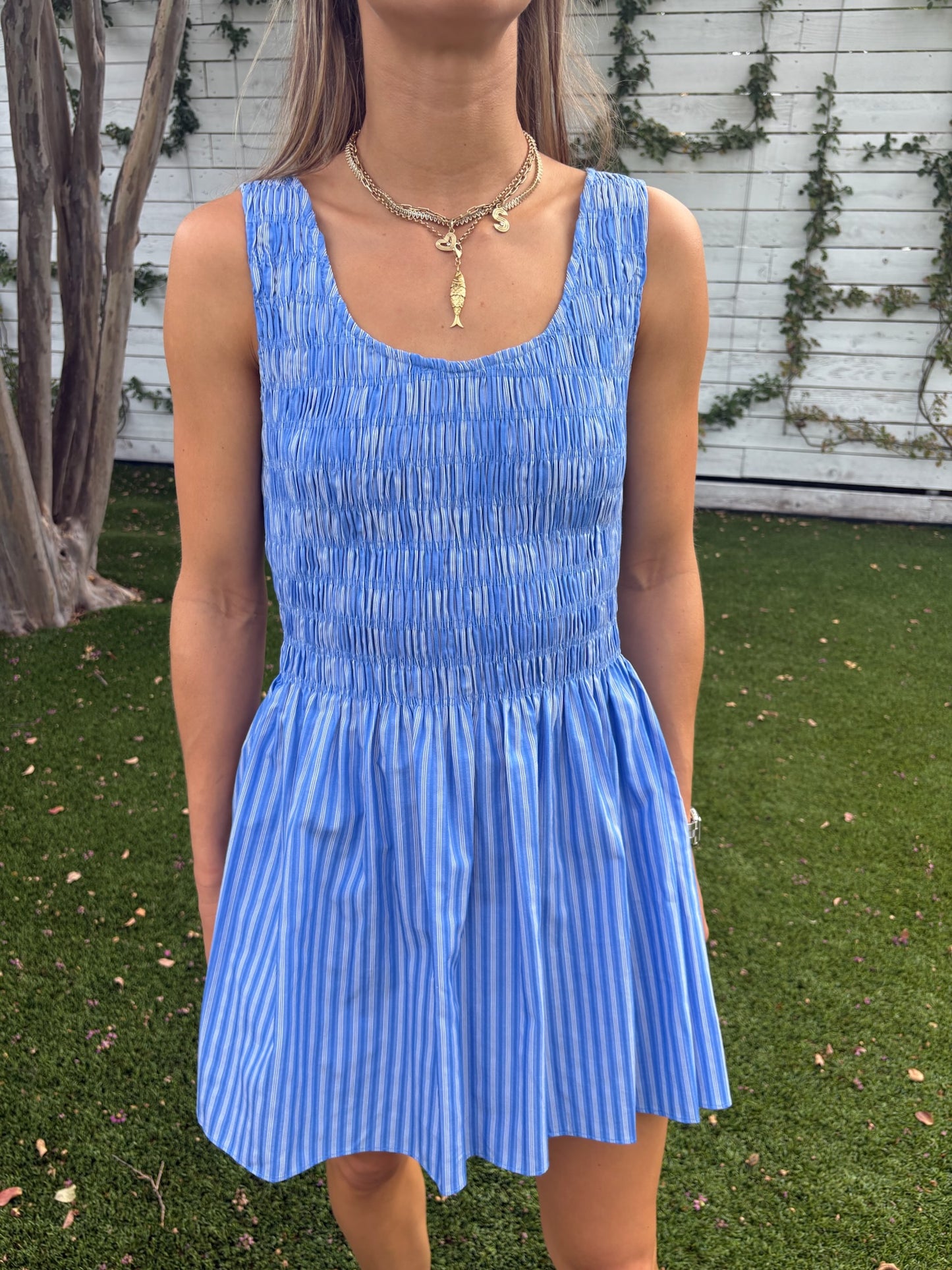 carina mini dress