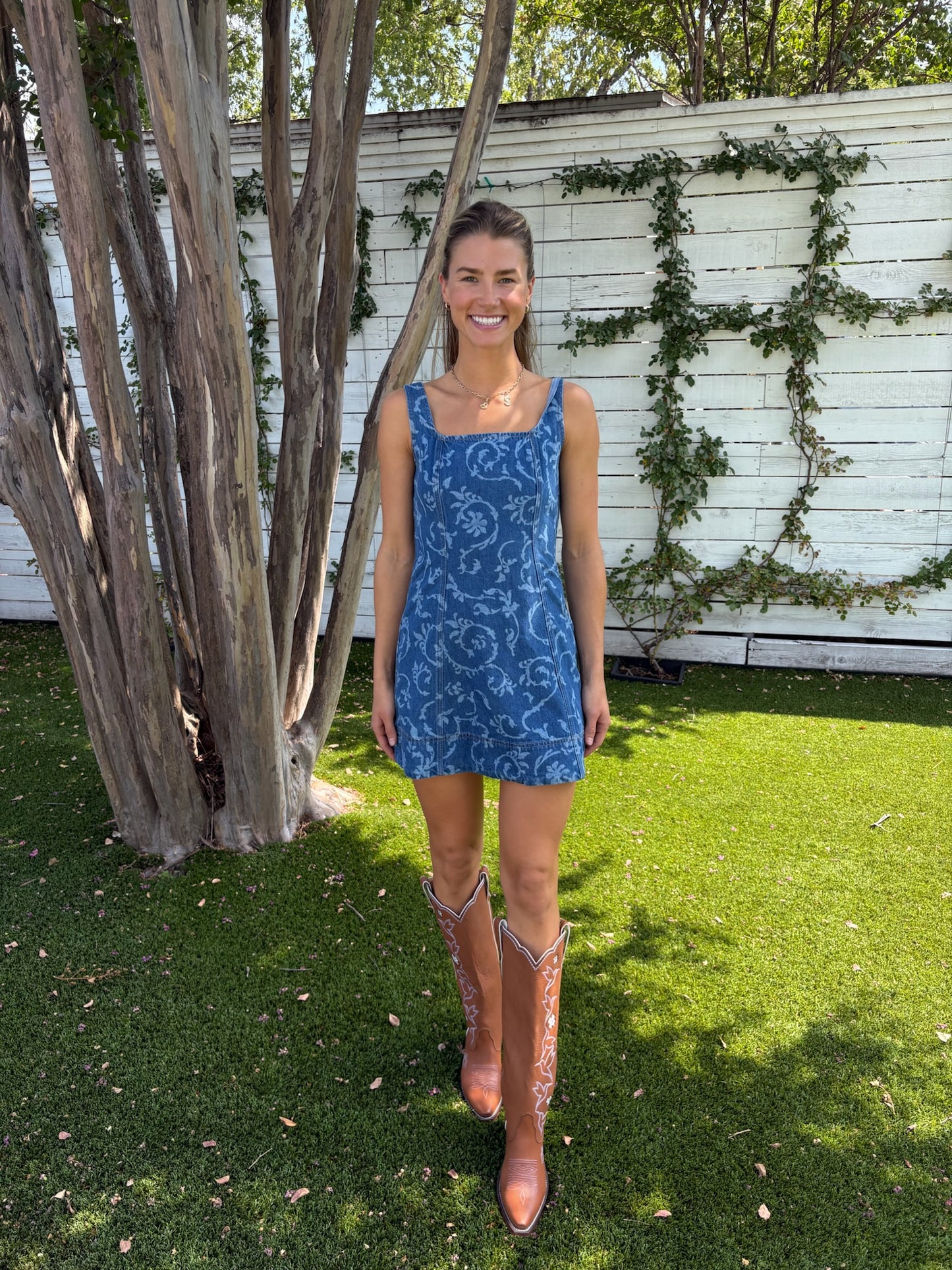 oriana denim dress