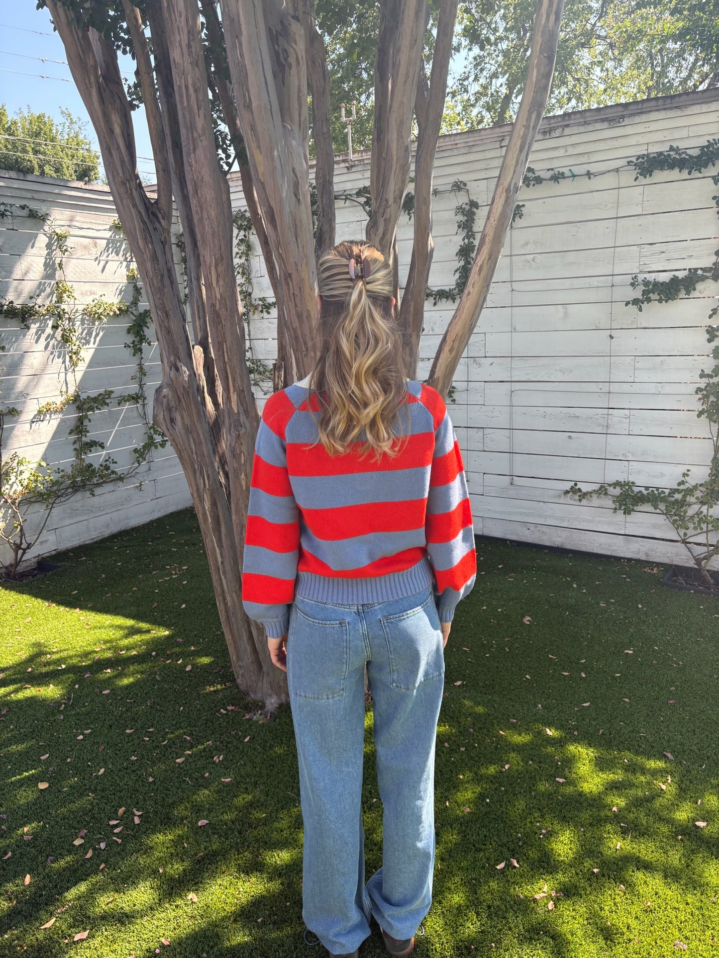 frank striped polo