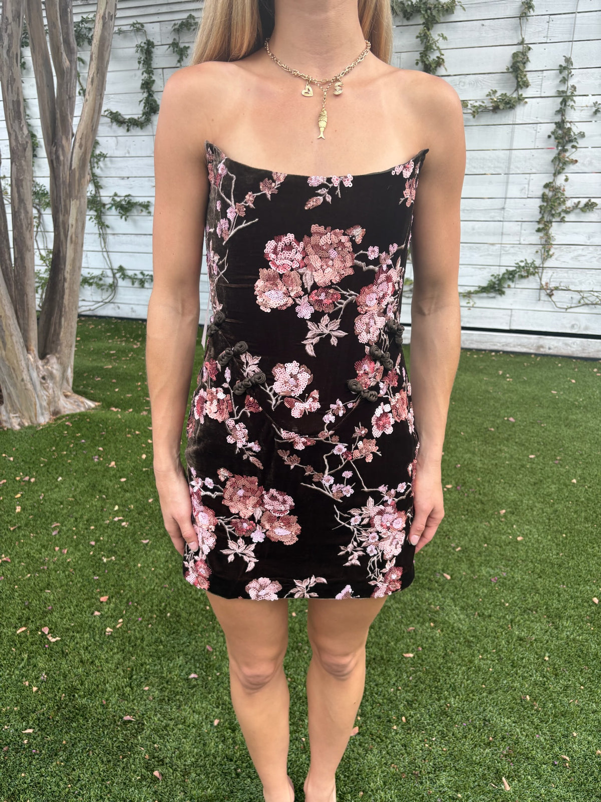anna embroidered dress